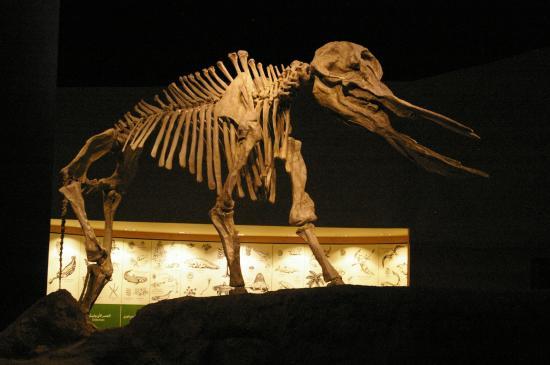 Centro Culturale King Abdul Aziz